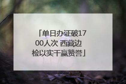 单日办证破1700人次 西藏边检以实干赢赞誉