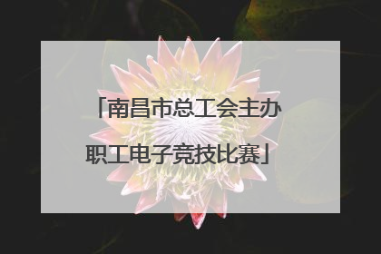 南昌市总工会主办职工电子竞技比赛