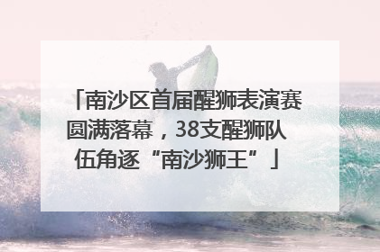 南沙区首届醒狮表演赛圆满落幕，38支醒狮队伍角逐“南沙狮王”
