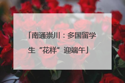 南通崇川：多国留学生“花样”迎端午