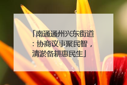 南通通州兴东街道：协商议事聚民智，清淤备耕惠民生