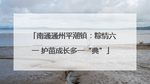 南通通州平潮镇：粽情六一 护苗成长多一“典”