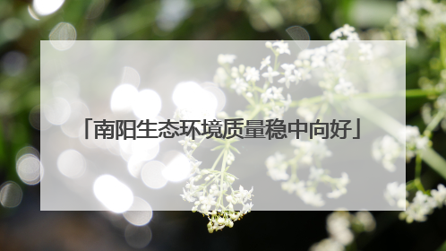 南阳生态环境质量稳中向好