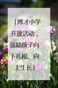博才小学开放活动，鼓励孩子向下扎根、向上生长