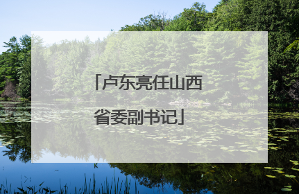 卢东亮任山西省委副书记