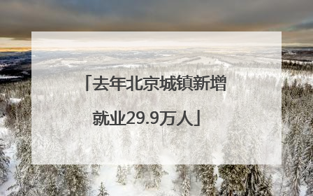 去年北京城镇新增就业29.9万人