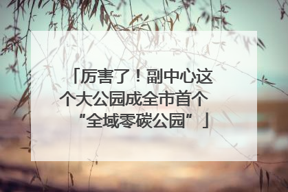 厉害了！副中心这个大公园成全市首个“全域零碳公园”
