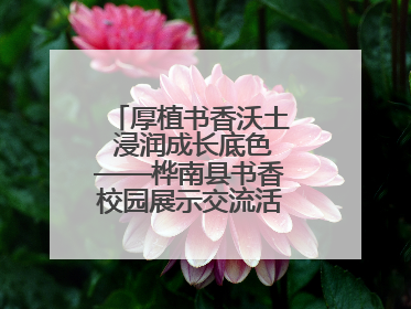 厚植书香沃土 浸润成长底色——桦南县书香校园展示交流活动圆满举行