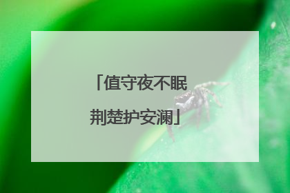 值守夜不眠 荆楚护安澜