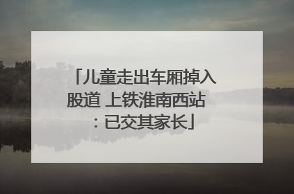 儿童走出车厢掉入股道 上铁淮南西站：已交其家长