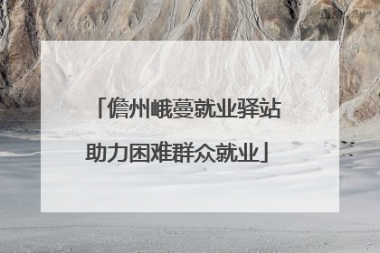 儋州峨蔓就业驿站助力困难群众就业