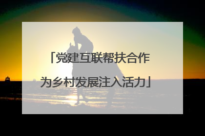 党建互联帮扶合作 为乡村发展注入活力