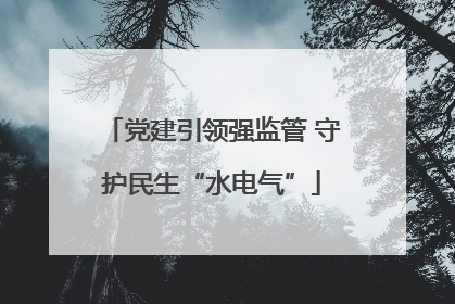 党建引领强监管 守护民生“水电气”