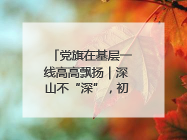 党旗在基层一线高高飘扬｜深山不“深”，初心很“红”