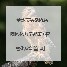 全环节实战练兵+网格化力量部署+智慧化应急管理
