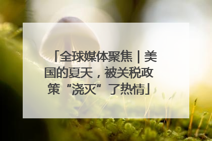 全球媒体聚焦｜美国的夏天，被关税政策“浇灭”了热情