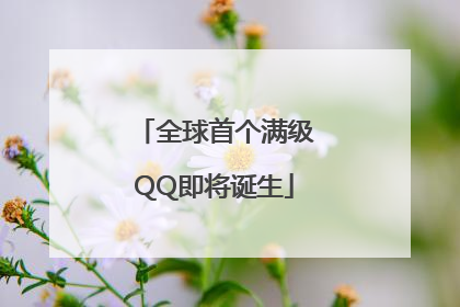 全球首个满级QQ即将诞生