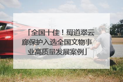 全国十佳！蜀道翠云廊保护入选全国文物事业高质量发展案例