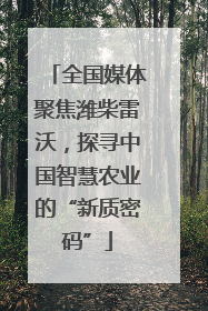 全国媒体聚焦潍柴雷沃，探寻中国智慧农业的“新质密码”