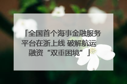 全国首个海事金融服务平台在浙上线 破解航运融资“双重困境”