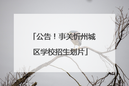 公告！事关忻州城区学校招生划片