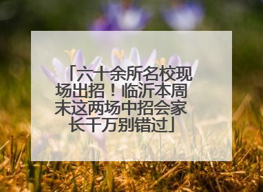 六十余所名校现场出招！临沂本周末这两场中招会家长千万别错过