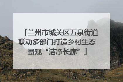 兰州市城关区五泉街道联动多部门打造乡村生态景观“洁净长廊”