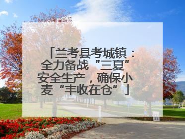 兰考县考城镇：全力备战“三夏”安全生产，确保小麦“丰收在仓”