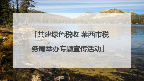 共建绿色税收 莱西市税务局举办专题宣传活动