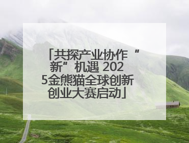 共探产业协作“新”机遇 2025金熊猫全球创新创业大赛启动