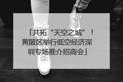共拓“天空之城”！黄陂区举行低空经济深圳专场推介招商会