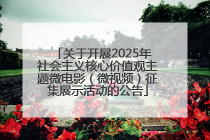 关于开展2025年社会主义核心价值观主题微电影（微视频）征集展示活动的公告