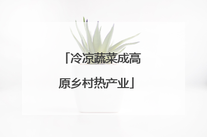 冷凉蔬菜成高原乡村热产业