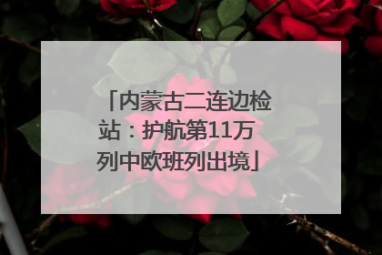 内蒙古二连边检站：护航第11万列中欧班列出境