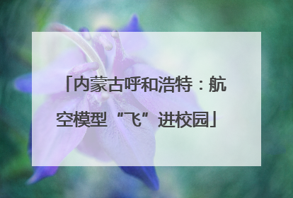 内蒙古呼和浩特：航空模型“飞”进校园
