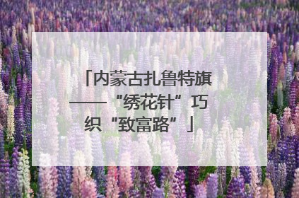 内蒙古扎鲁特旗——“绣花针”巧织“致富路”