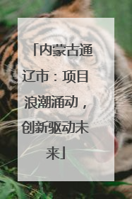 内蒙古通辽市：项目浪潮涌动，创新驱动未来