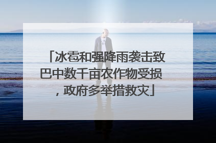 冰雹和强降雨袭击致巴中数千亩农作物受损，政府多举措救灾
