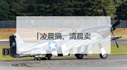 凌晨摘、清晨卖，江北“杨梅自由一条街”藏着最甜的烟火气