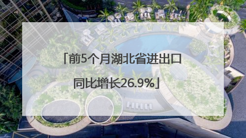 前5个月湖北省进出口同比增长26.9%