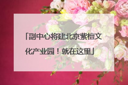 副中心将建北京紫檀文化产业园！就在这里