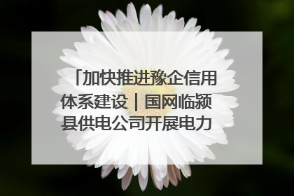 加快推进豫企信用体系建设｜国网临颍县供电公司开展电力行业信用企业现场咨询访谈工作