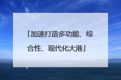 加速打造多功能、综合性、现代化大港