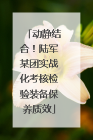 动静结合！陆军某团实战化考核检验装备保养质效