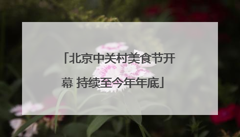北京中关村美食节开幕 持续至今年年底