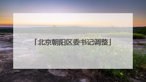 北京朝阳区委书记调整