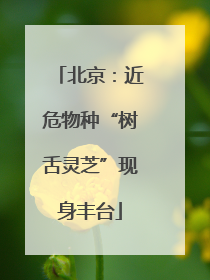 北京：近危物种“树舌灵芝”现身丰台