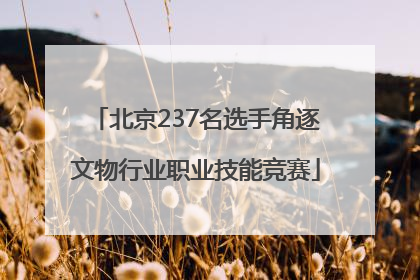 北京237名选手角逐文物行业职业技能竞赛