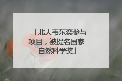 北大韦东奕参与项目，被提名国家自然科学奖