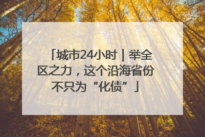 城市24小时｜举全区之力，这个沿海省份不只为“化债”